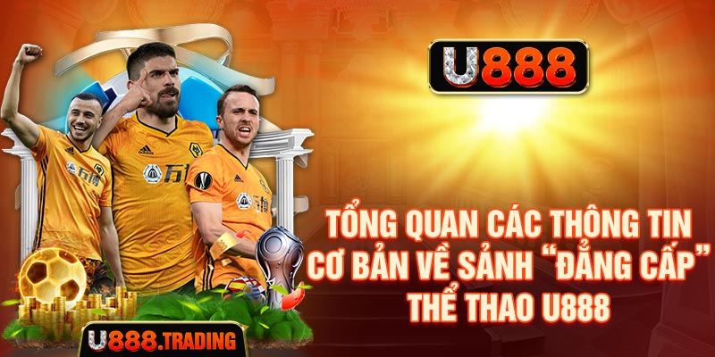 Tổng quan các thông tin cơ bản về sảnh thể thao U888