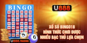 Xổ Số Bingo18 - Hình Thức Chơi Được Nhiều Bạc Thủ Lựa Chọn